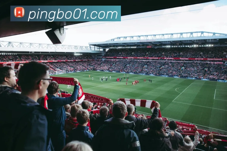 平博体育发展历程